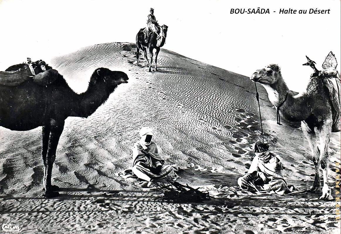 Bou-Saada - Halte au Desert.jpg